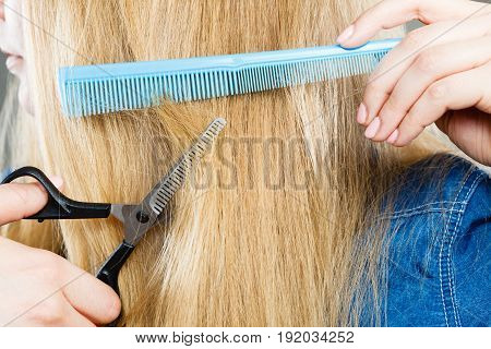 Cutting down and shearing concept. Blonde woman cuts and combing her straight smoothy fair hair. Professionalist making new coiffure hairdo.