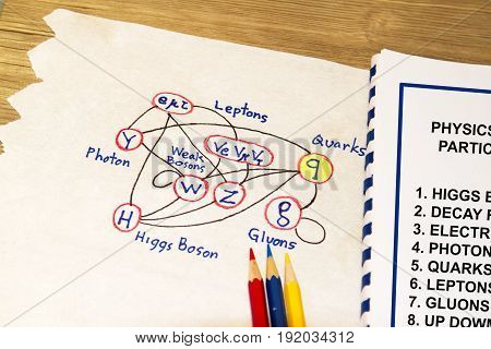 Particle Physics