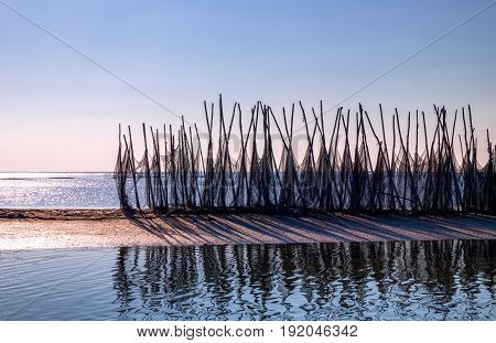 Italy Po delta park nets in the Goro lagoon
