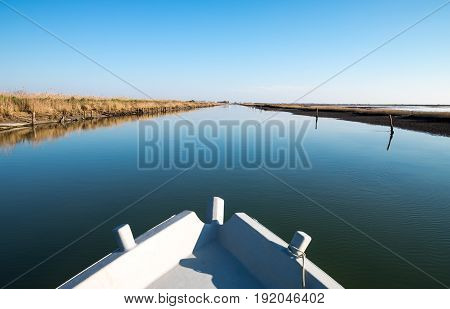 Italy Po delta park the Goro lagoon