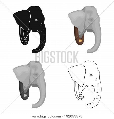 Stuffed elephant head.African safari single icon in cartoon style vector symbol stock illustration .