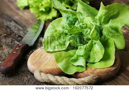 Raw green organic butter lettuce ready to chop on cutting board with knife .