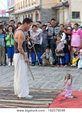 YUANYANG, CHINA - MAY 4, 2014: Street acrobat training monkey during street show
