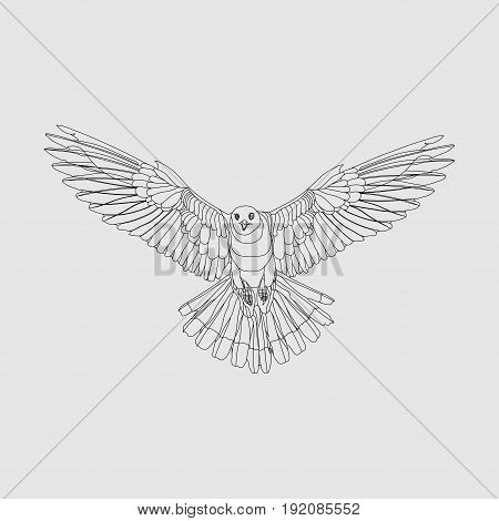 realistic eagle soaring eagle catching prey a symbol of freedom image