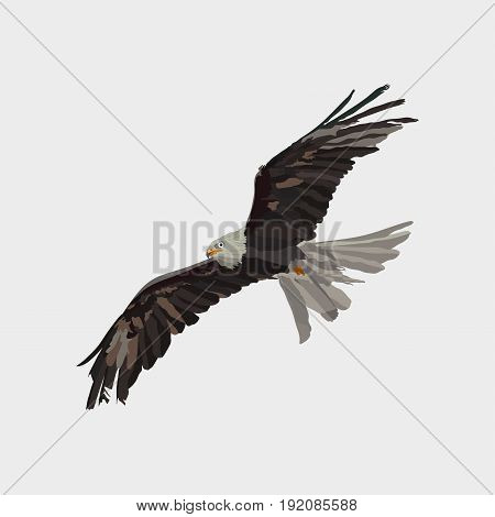 realistic eagle soaring eagle catching prey a symbol of freedom flat design image