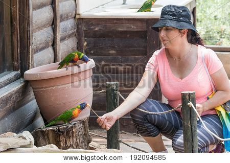 Young woman feeds parrots at the Australian Zoo Gan Guru in Kibbutz Nir David in Israel