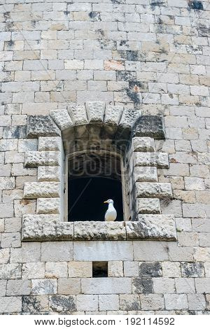 Windows In The Stone Walls Of The Fortress Mamula. Montenegro, Boka-kotor Bay.
