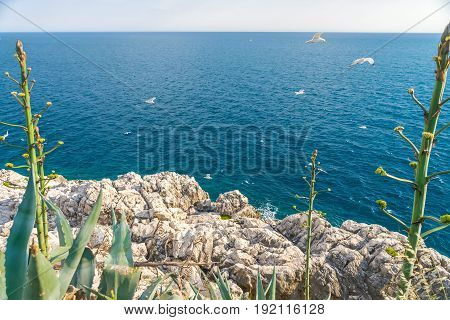 Scenic View From The Stone Walls Of The Fortress Of Mamula. Montenegro, Boka-kotor Bay.