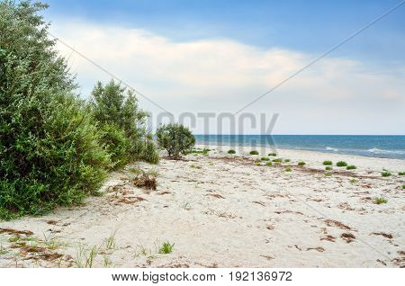Panorama Wild, Sea Beach In The National Reserve Island Dzharylgach.
