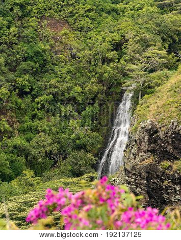 Sun illuminates the twin falls of Opaekaa waterfall on Hawaiian island of Kauai