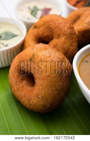 south indian food called vada sambar or sambar vada or wada, served with coconut, green and red chutney over fresg banana leaf, selective focus