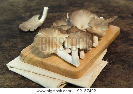 Indian Oyster, Phoenix Mushroom, Lung Oyster on wooden background