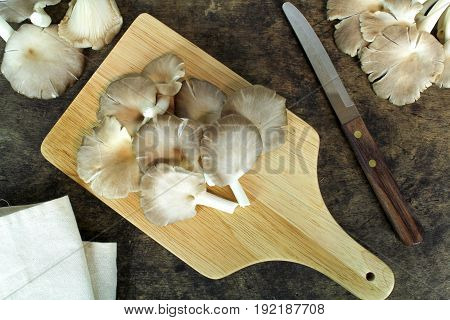 Indian Oyster, Phoenix Mushroom, Lung Oyster on wooden background
