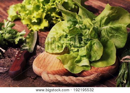Raw green organic butter lettuce ready to chop on cutting board with knife .
