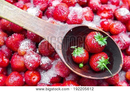 Against a background of strawberries with sugar a wooden spoon for jam on which lies a few strawberries with green leaves.