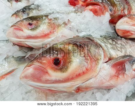 close-up fresh chinese carp fish on ice in supermarket