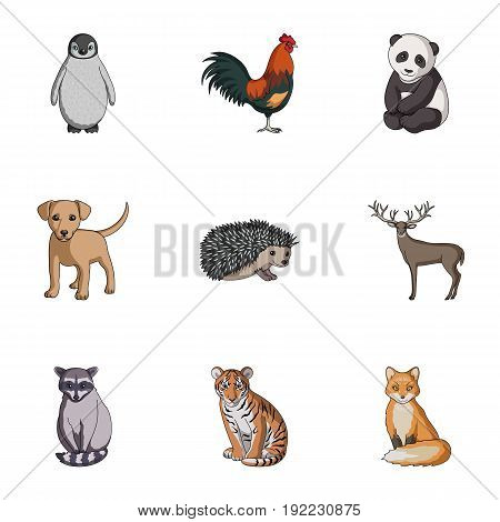 Deer, tiger, cow, cat, rooster, owl and other animal species.Animals set collection icons in cartoon style vector symbol stock illustration .
