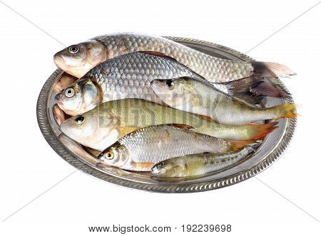 Fresh fish (Scardinius erythrophthalmuscarassius) on a plateon an isolated white background