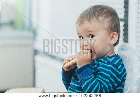 The Boy In The Kitchen Eating Cookies