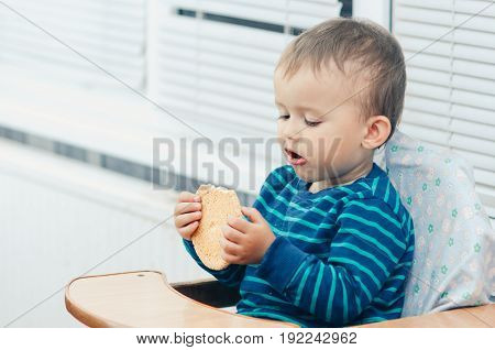 The Boy In The Kitchen Eating Cookies