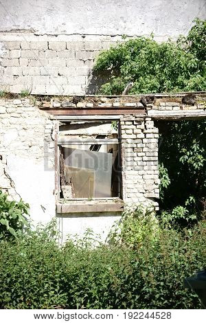 A building ruin that has been overgrown with vegetation and is endangered.