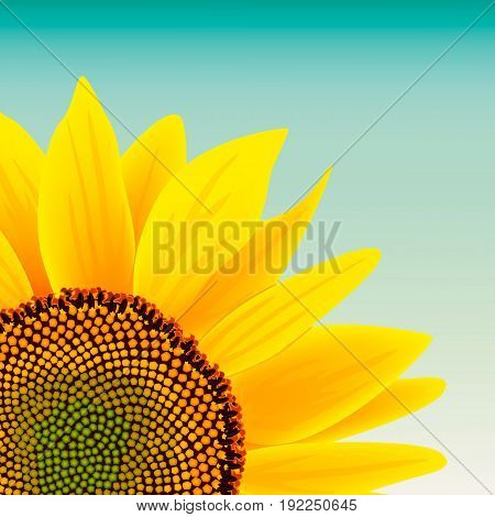 Sunflower on blue sky vector illustration. Summer print. For textile, decoration, packing, wrapping