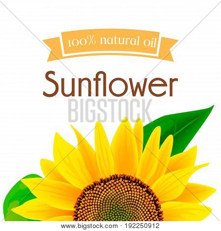 Natural sunflower oil label or advertising poster vector illustration. Banner with sunflower for oil product, eco oil from sunflower