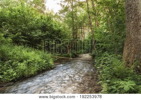 Roztocze (Roztochia) National Park. Cascades on Sopot river. Czartowe Pole (Devil's Field) reservation.