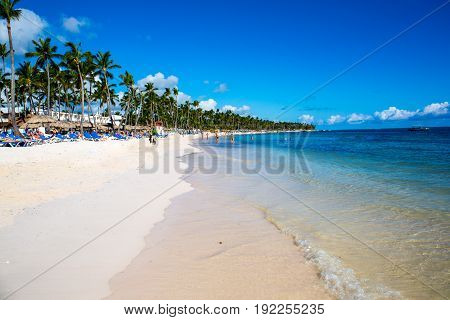 beautiful landscape with green palmtrees and tourist umbrellas with sunbeds on exotic beach in Dominican repablic