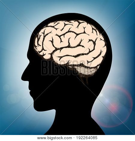 Brain inside the human head. Internal anatomical organ. Stock vector graphics.