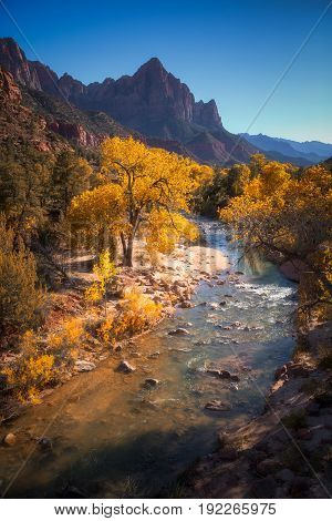 View Of The Watchman Mountain And The Virgin River In Zion National Park