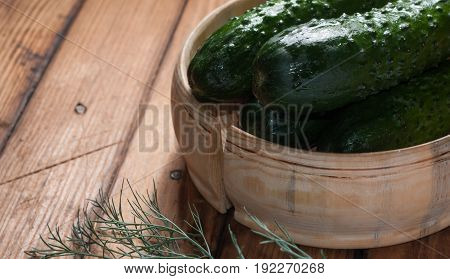 Cucumbers And Dill,