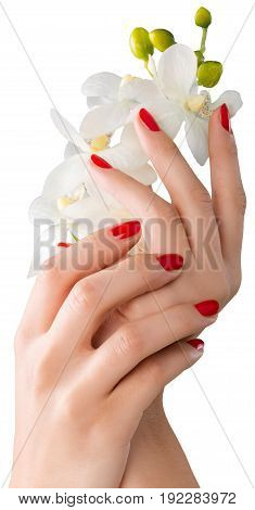 Flowers hands orchid color white background vibrant