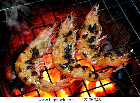 Grill Shrimp In Hot Fire From Charcoal