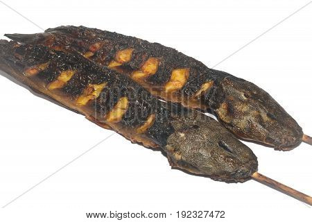 Big Catfish grill isolated on white background
