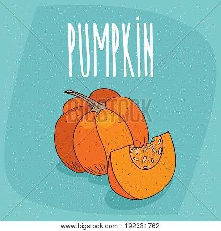 Isolated Ripe Squash Fruit Or Pumpkin