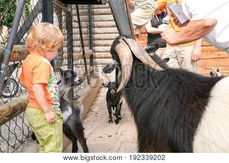 Goldau Switzerland - 29 august 2008: woman with child who pat the goat at the zoo of Goldau in Switzerland