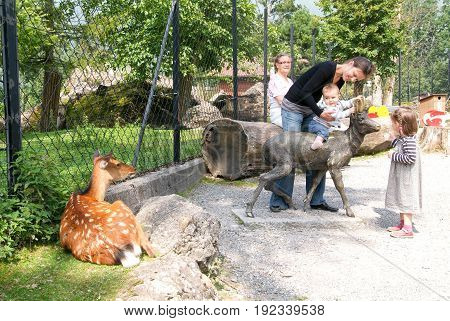 People Who Feed And Pat The Fawns At The Zoo