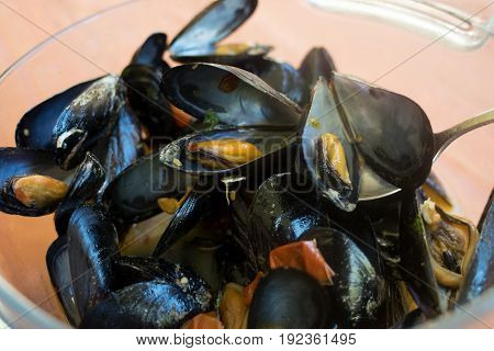 peppered steamed mussels or impepata di cozze