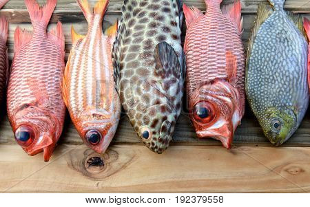 Mix Fresh Pinecone Soldier Fish And Grouper Fish For Cooking