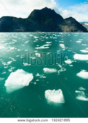 Icebergs float in the ocean just calved off local glaciers