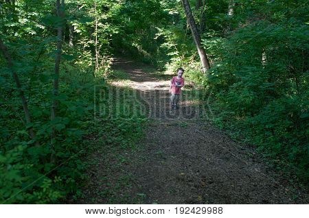 A Boy walking on pathway in green open space with mature trees on a sunny day with light clouds at Stroud Preserve