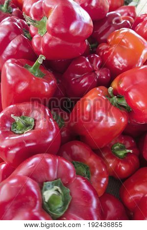 Sale Of Paprika