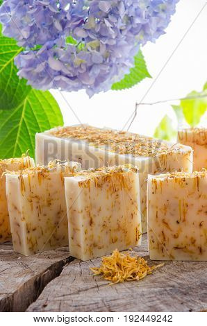 Homemade Calendula Natural Herbal Soap