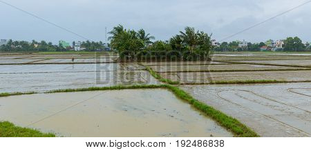 Beautiful Countryside Of Quang Binh, Viet Nam