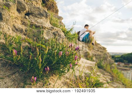blooming flowers in the mountains with young blured man on background