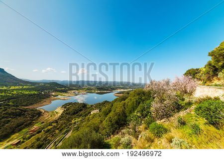 Temo lake under a clear sky in springtime. Sardinia Italy