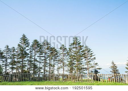 Beautiful landscape mountain view of Utsukushigahara is one of the most important and popular natural place in Nagano Japan.