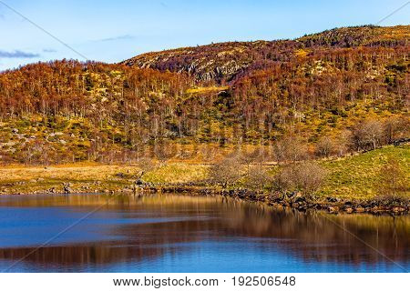 Landscape around Dalsnuten in Rogaland Norway .