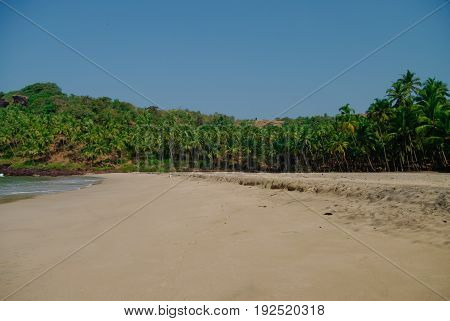 Hidden sand beach with palms near Agonda beach Goa state India. No people